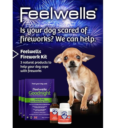 feelwells probiotic dog treats